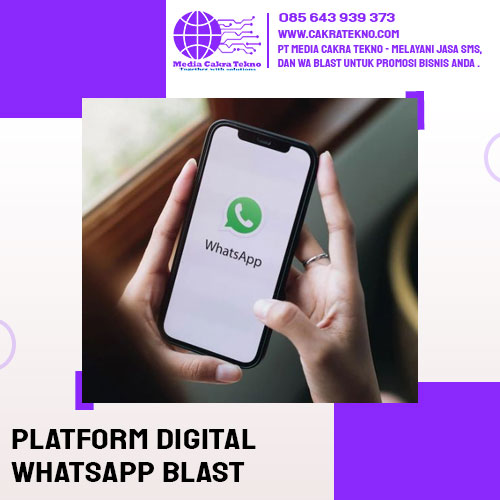 Platform Digital Whatsapp Blast